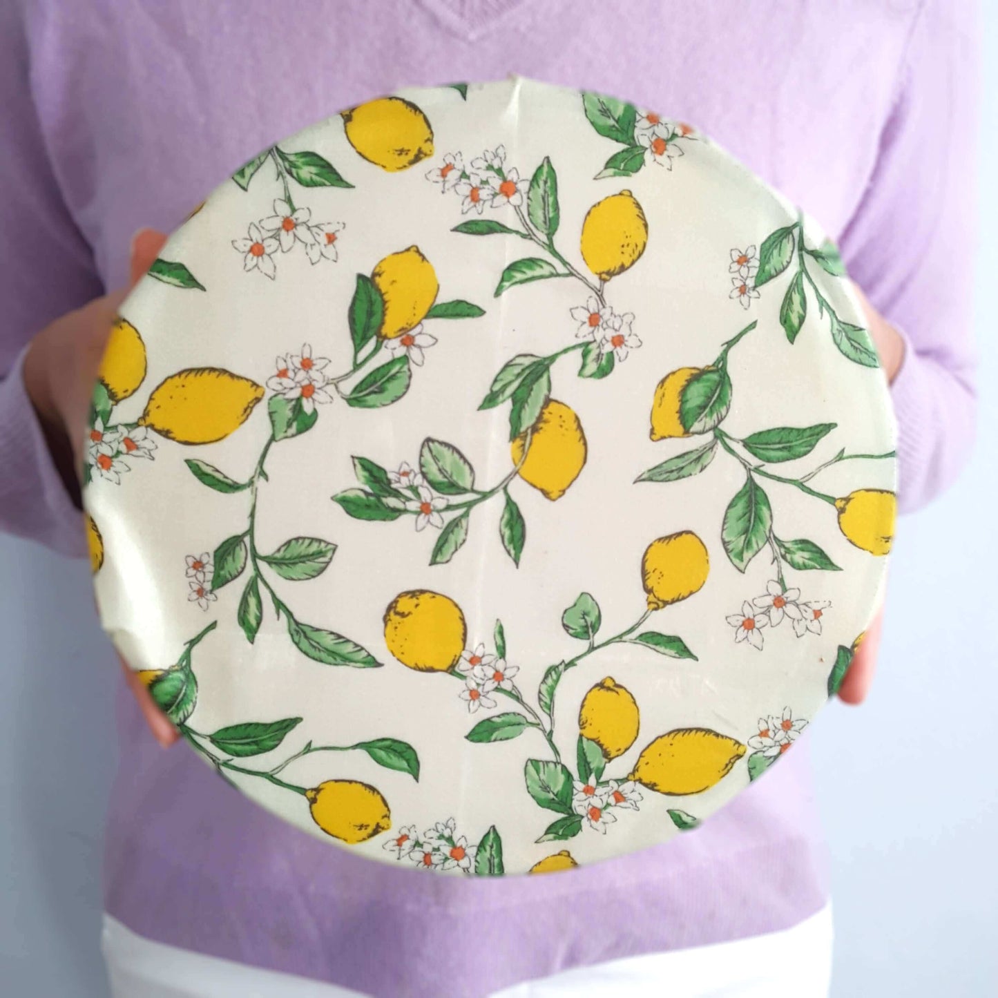 *Classic Sandwich & Bowl Set of 2 Large | Lemony Bees