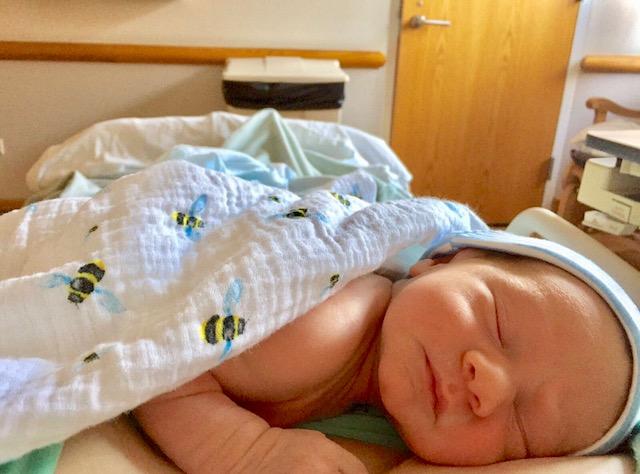 ORGANIC SWADDLE SET - BUSY BEES (Bee + Hive)